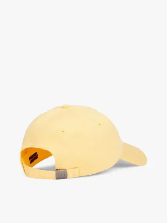 Baseballpet met vlaglogo