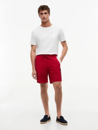 Regular Fit 8″ Flag Colorblock Shorts