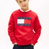 Tommy Flag Logo Raglan-sweatshirt voor kinderen Tommy Flag Logo Raglan-sweatshirt voor kinderen