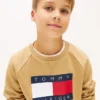 Tommy Flag Logo Raglan-sweatshirt voor kinderen Tommy Flag Logo Raglan-sweatshirt voor kinderen