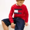 Tommy Flag Logo Raglan-sweatshirt voor kinderen Tommy Flag Logo Raglan-sweatshirt voor kinderen