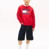 Tommy Flag Logo Raglan-sweatshirt voor kinderen Tommy Flag Logo Raglan-sweatshirt voor kinderen
