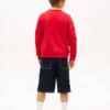 Tommy Flag Logo Raglan-sweatshirt voor kinderen Tommy Flag Logo Raglan-sweatshirt voor kinderen