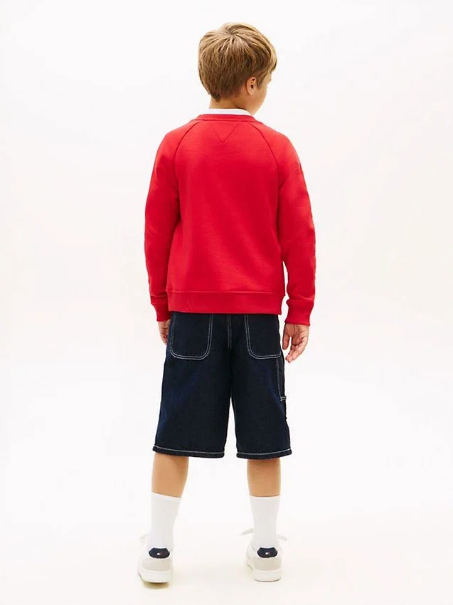 Tommy Flag Logo Raglan-sweatshirt voor kinderen Tommy Flag Logo Raglan-sweatshirt voor kinderen