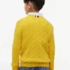 Tommy Hilfiger-trui voor meisjes
