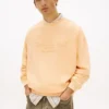 Tommy Jeans-logo, in de massa geverfd sweatshirt Tommy Jeans-logo, in de massa geverfd sweatshirt