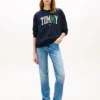 Veelkleurig Tommy-logo-sweatshirt in varsity-stijl